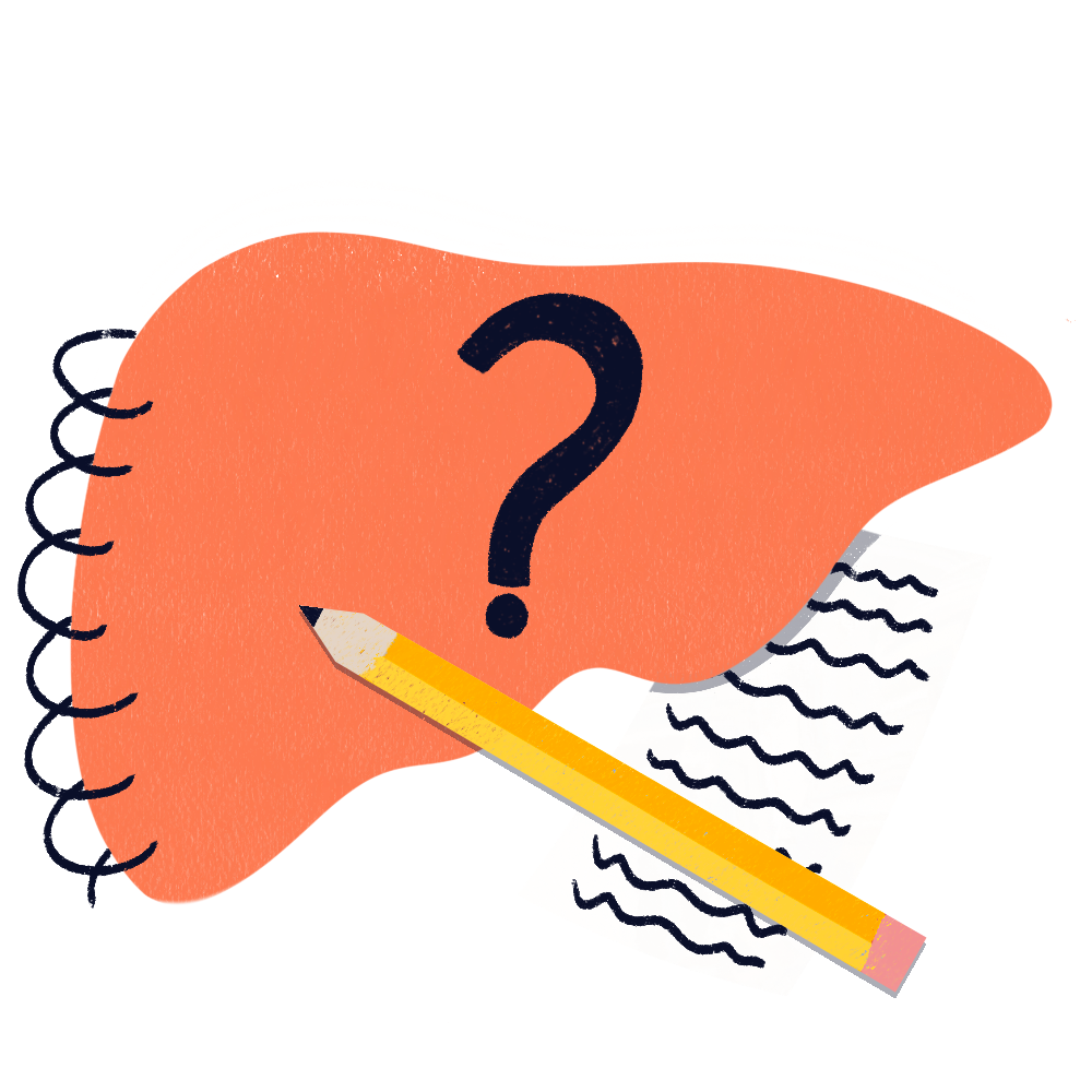 notebook shaped like a liver with a pencil and a piece of paper