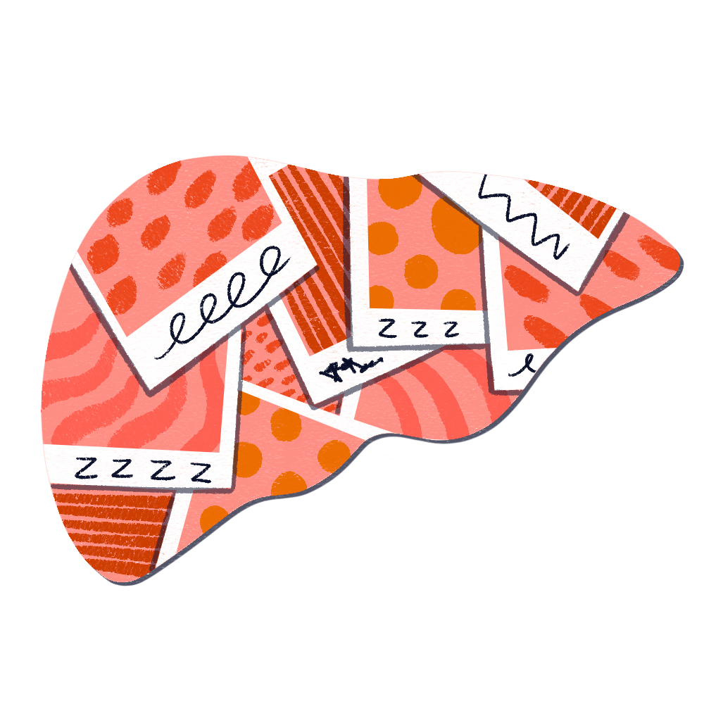 In the shape of a liver sit several Polaroid photos